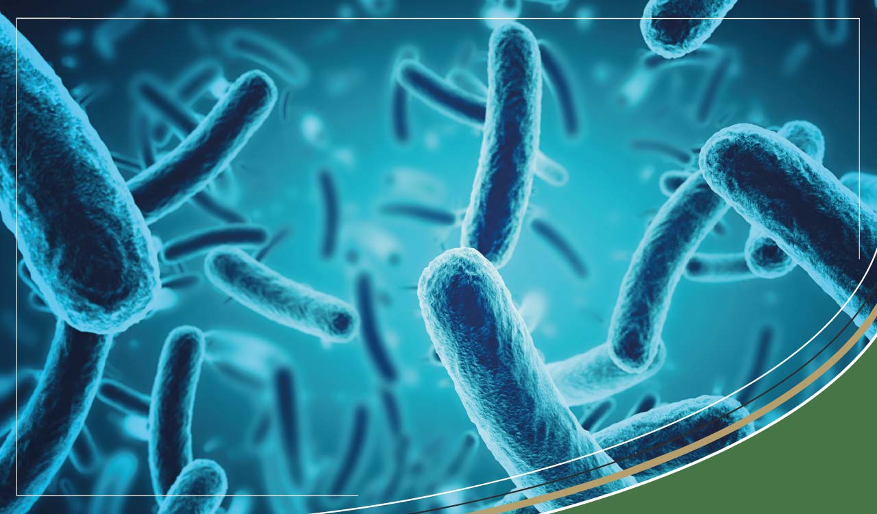 What is E. coli? & Our tips for preventing E. coli infections